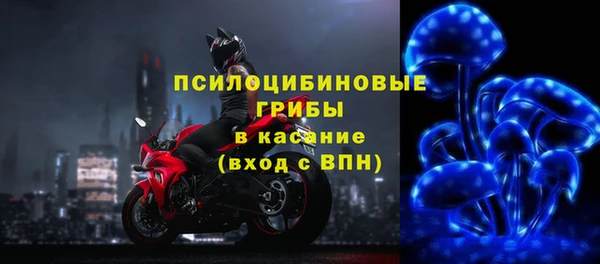 mdpv Грязовец