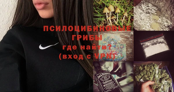 спайс Алексин