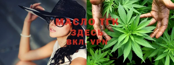 прущие грибы Алексеевка