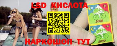 винт Будённовск