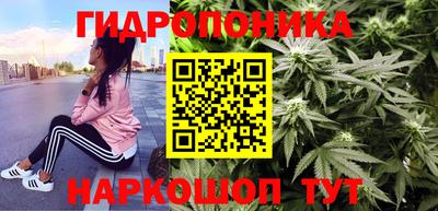 бошки Шебекино