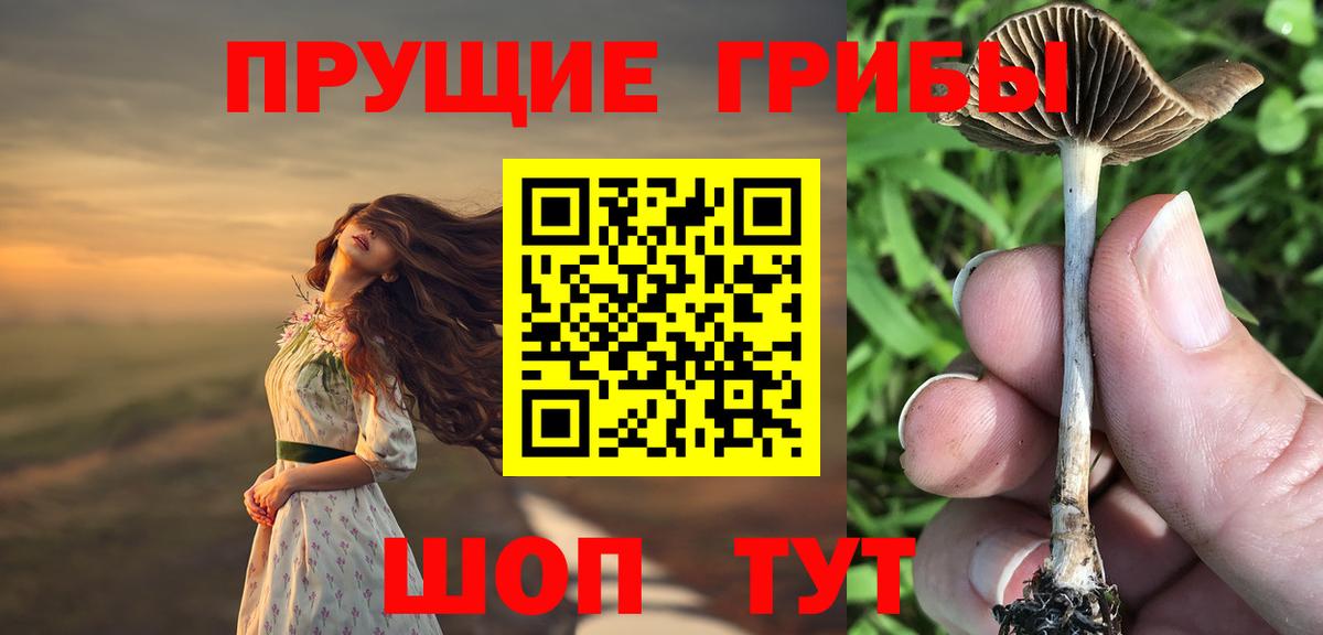 Галлюциногенные грибы MAGIC MUSHROOMS  Вход с VPN  Псилоцибиновые грибы мухоморы  Курчалой 
